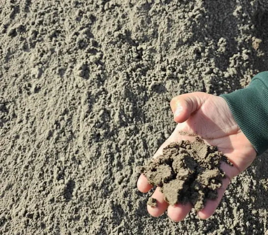Arena fina para estuco y albañilería en Graneros